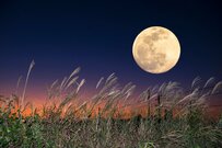 70歳代以降「貯蓄3000万円以上の世帯」は何パーセントか。最も多いのは4000万円以上の世帯に