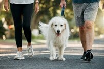 65歳以上・無職夫婦の平均貯蓄額はいくら？ 気になる年金データや “申請しないともらえない給付金” も紹介