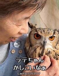 【しゃべるフクロウ】会話中おばあちゃんに名前を間違えられた…→フクロウの意外な反応がかわいすぎると話題