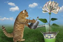 還暦後60代、貯蓄2000万円以上ある世帯はどのくらい？