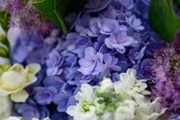 【もうすぐ6月】6月支給分からの振込額がわかる「年金振込通知書」はいつ頃届く？厚生年金が月20万円以上の年金が支給される人の割合とは