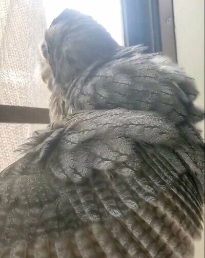 投稿動画のワンシーン