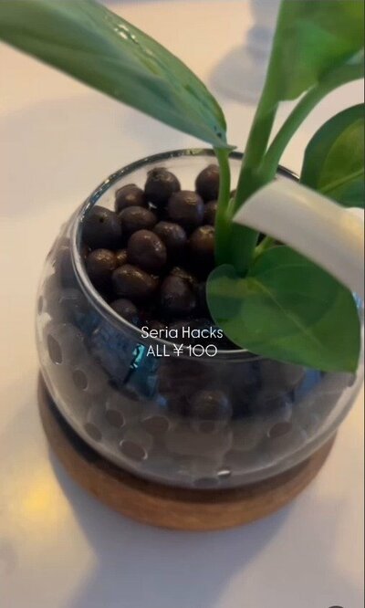 完成した植木鉢