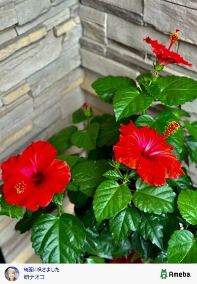 研ナオコが投稿した写真