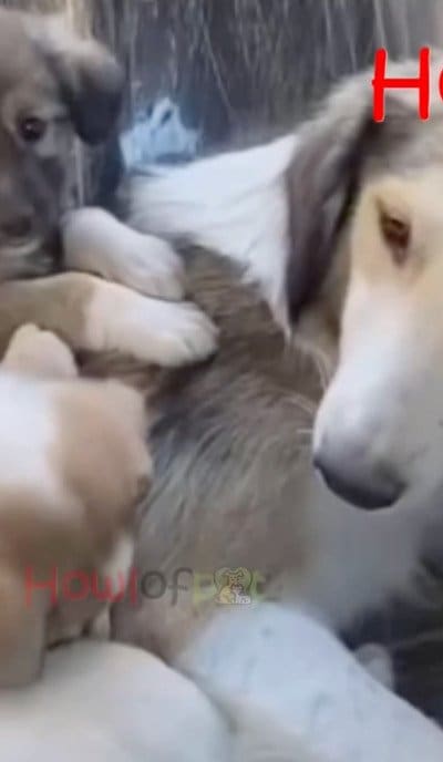 投稿の画像