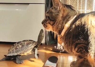 「あと1ミリ…！」がんばれ！