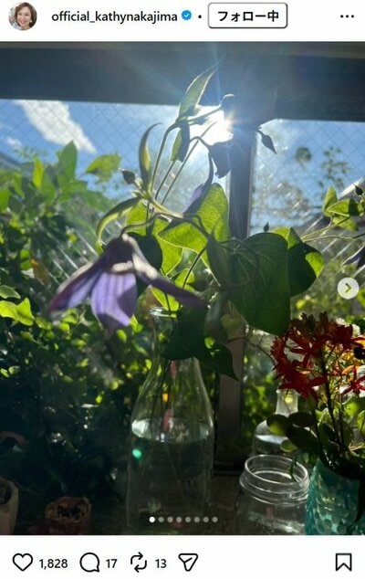 キャシー中島のInstagram投稿（窓辺の観葉植物とガラスの小物）