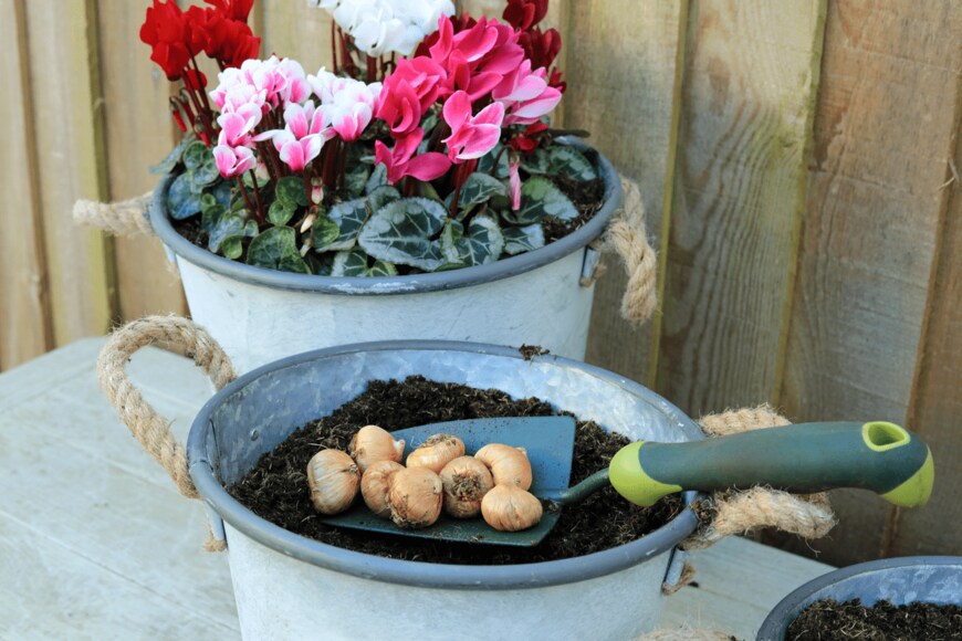 Dean Clarke/istockphoto.com