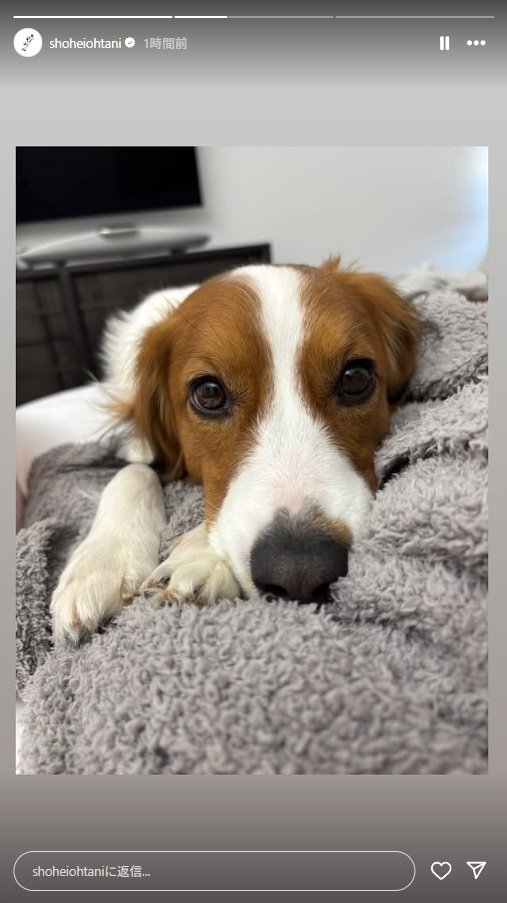 出所：大谷翔平のInstagram（＠shoheiohtani）参照日：2025年6月20日