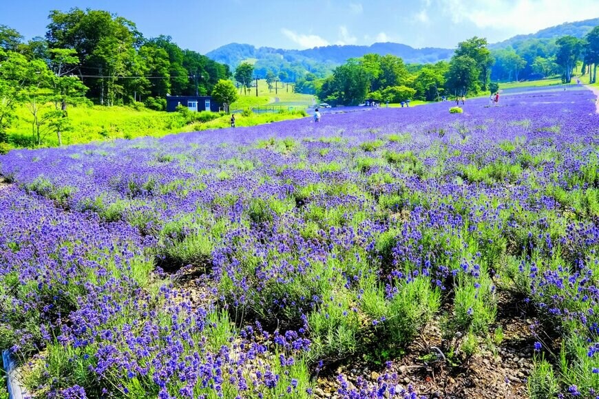 janken/shutterstock.com