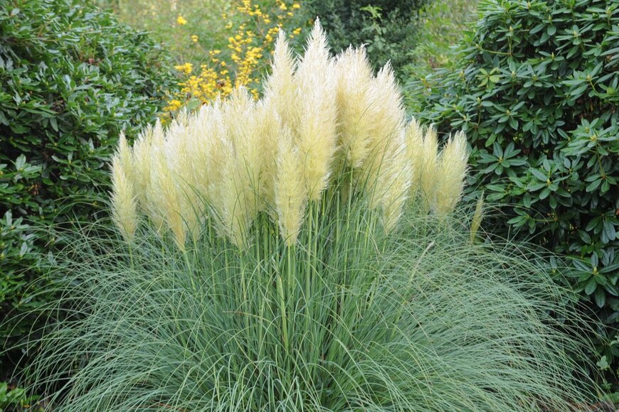 Peter Turner Photography/shutterstock.com