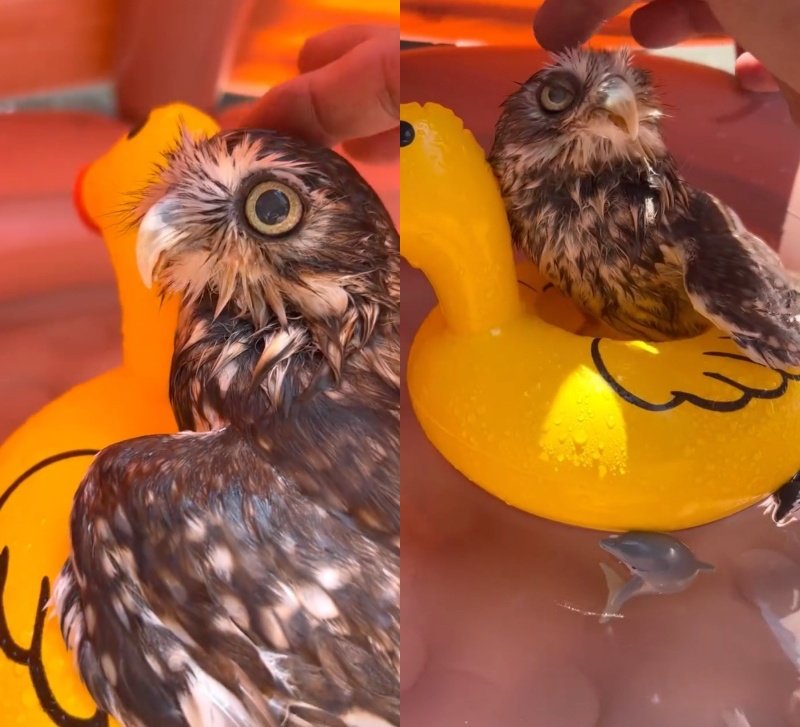 出所：@cr8673.hiro