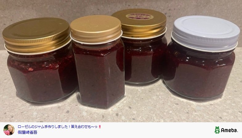 出所：假屋崎省吾のAmebaブログ 参照日：2025年10月17日