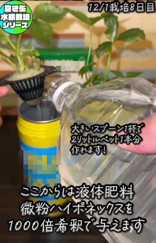 出所：@mikanbo_ya19_87