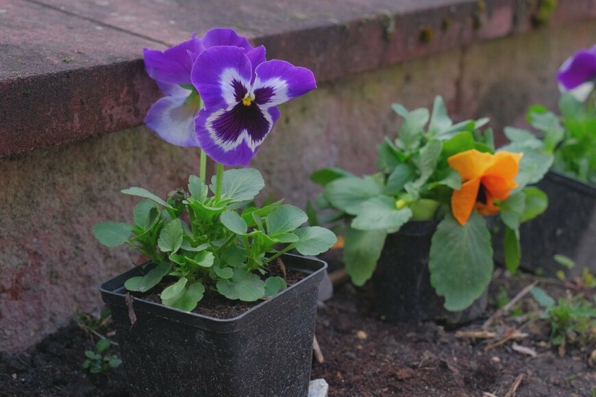 Pawel Kajak/istockphoto.com