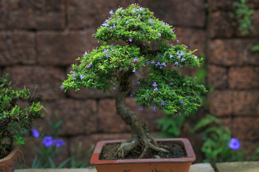 quangpraha/istockphoto.com