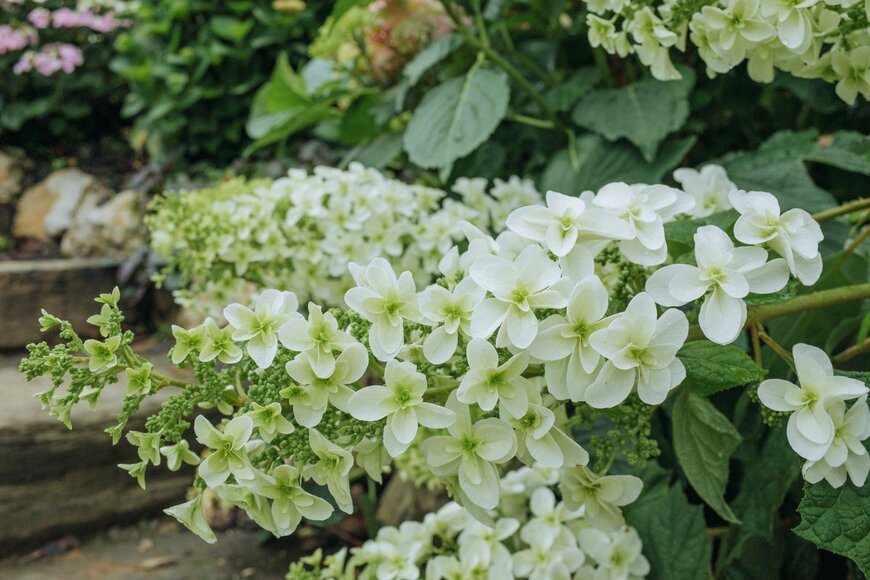 sopear/shutterstock.com