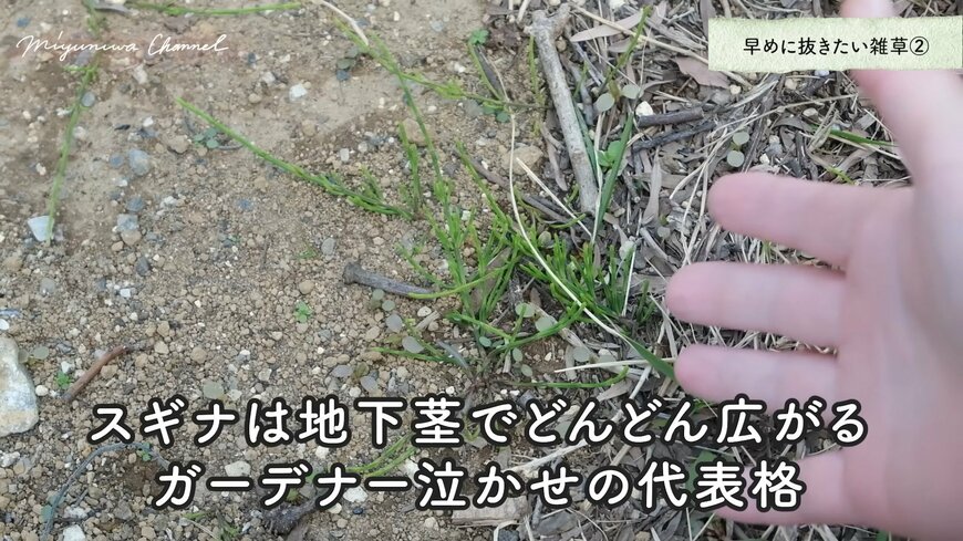 出所：@miyuki.garden