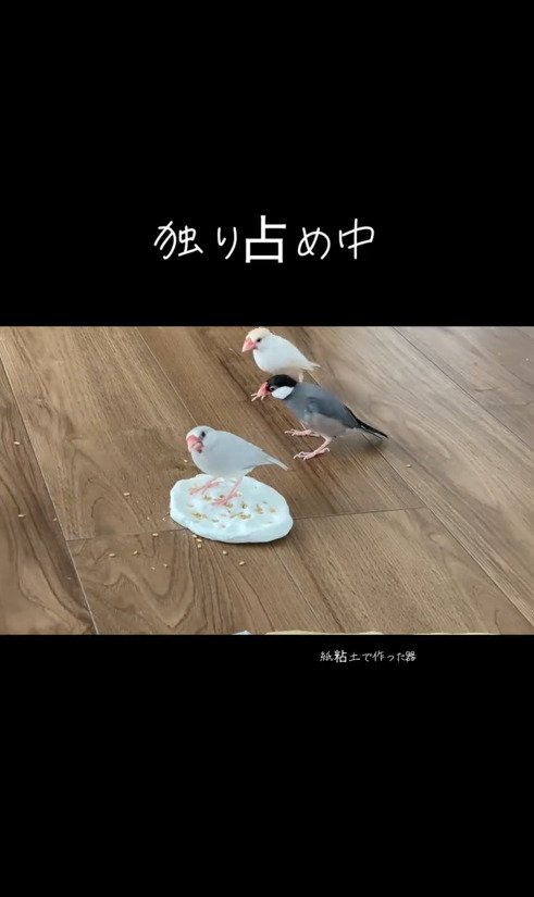 出所：@buntyo_suehiro