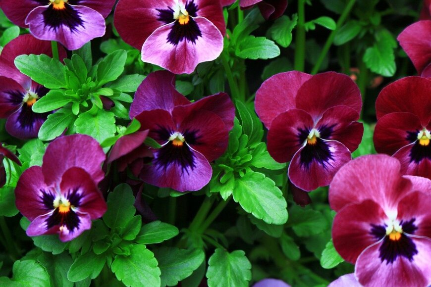 Free art director/istockphoto.com