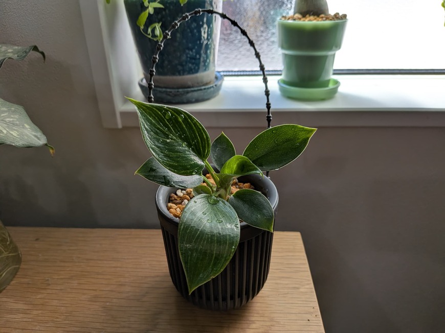 そのまま置いてもおしゃれです