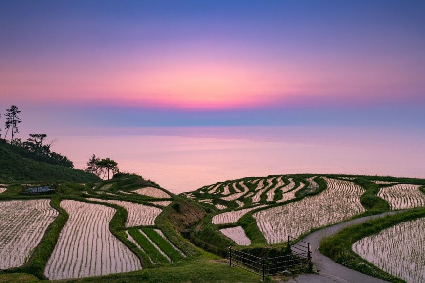 M Andy/shutterstock.com