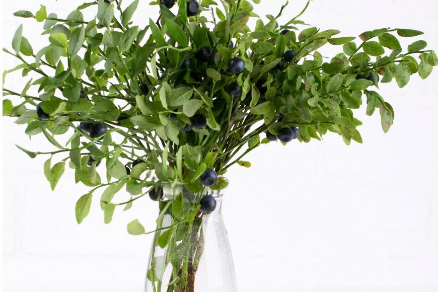 Iryna Kaliukina/istockphoto.com