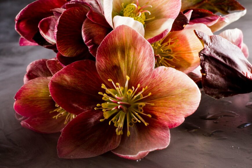 Nature's Charm/shutterstock.com