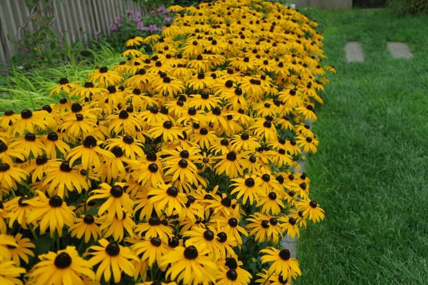 Xi kou/shutterstock.com