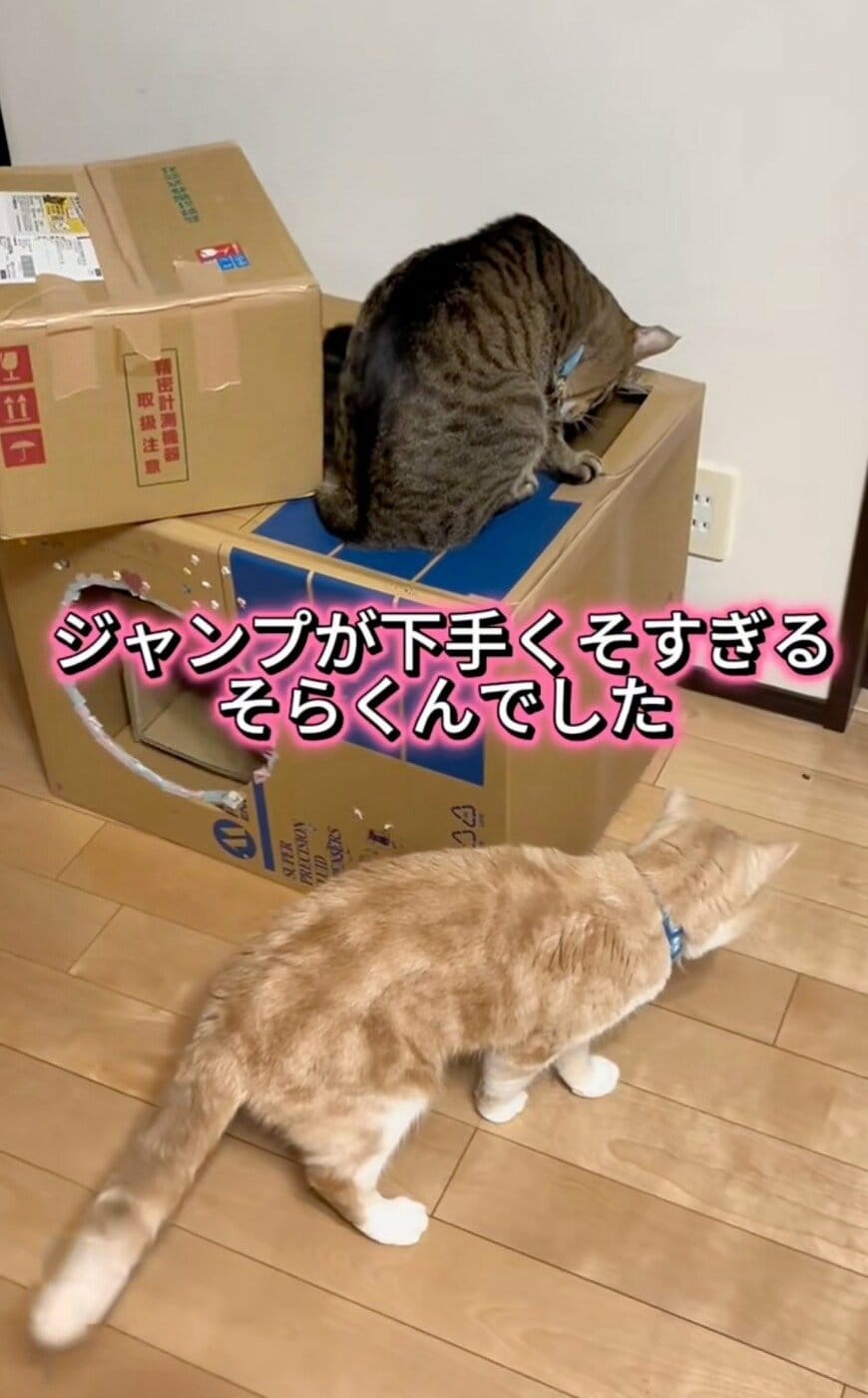 出所：@sorakai0905