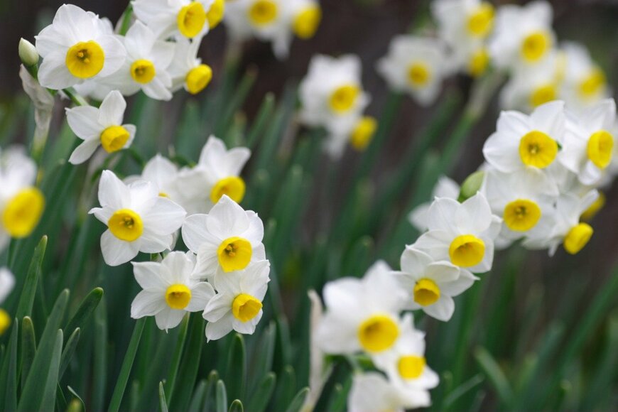 hichako/istockphoto.com