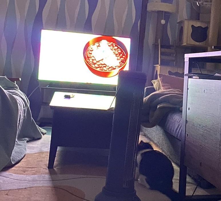 出所：@00shitemita