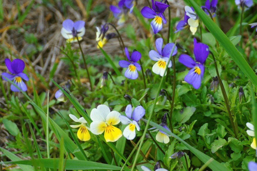 awafijolek/istockphoto.com