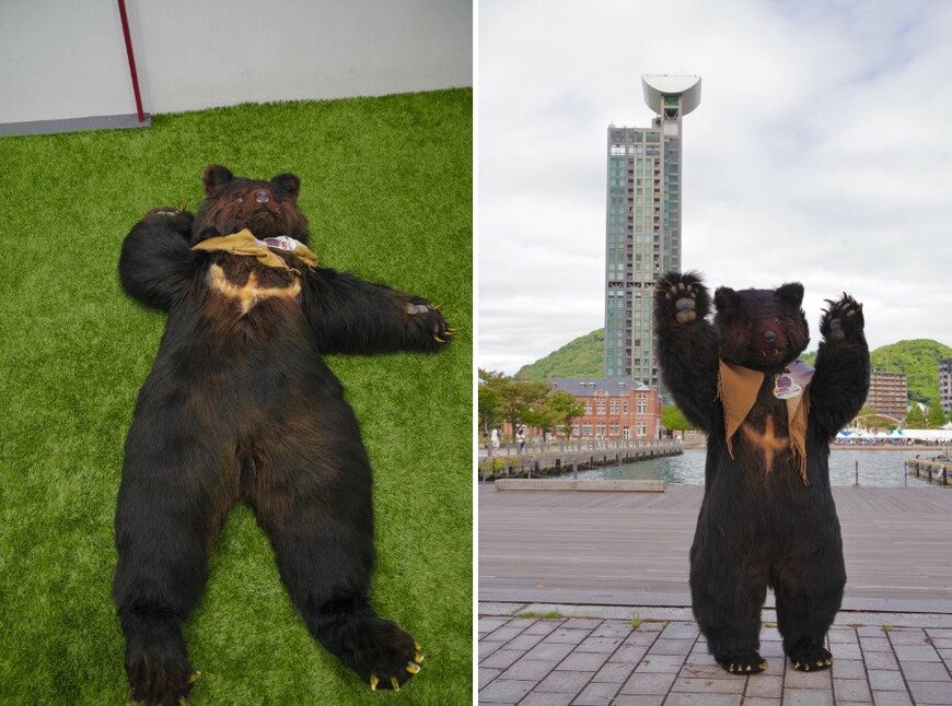 本物のクマにしか見えません