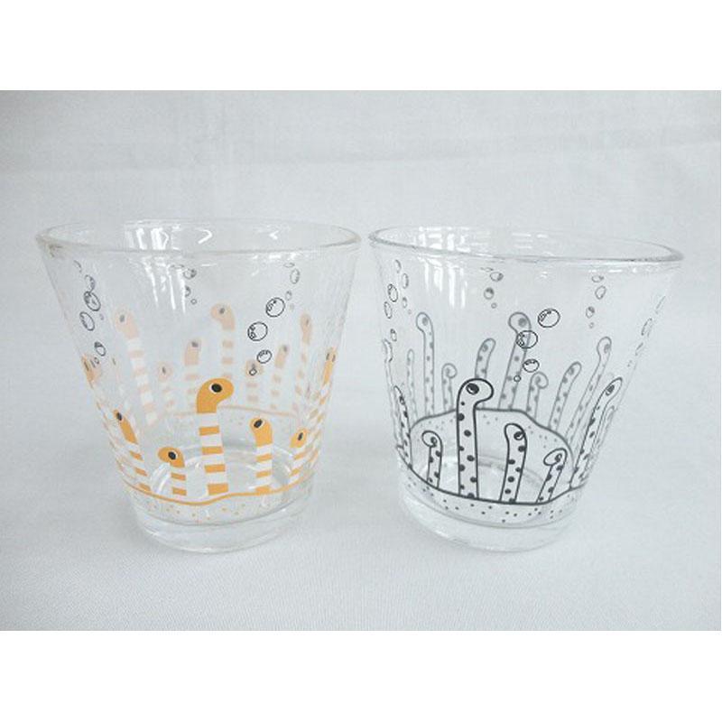 出所：Can★Doネットショップ スラントタンブラー チンアナゴ