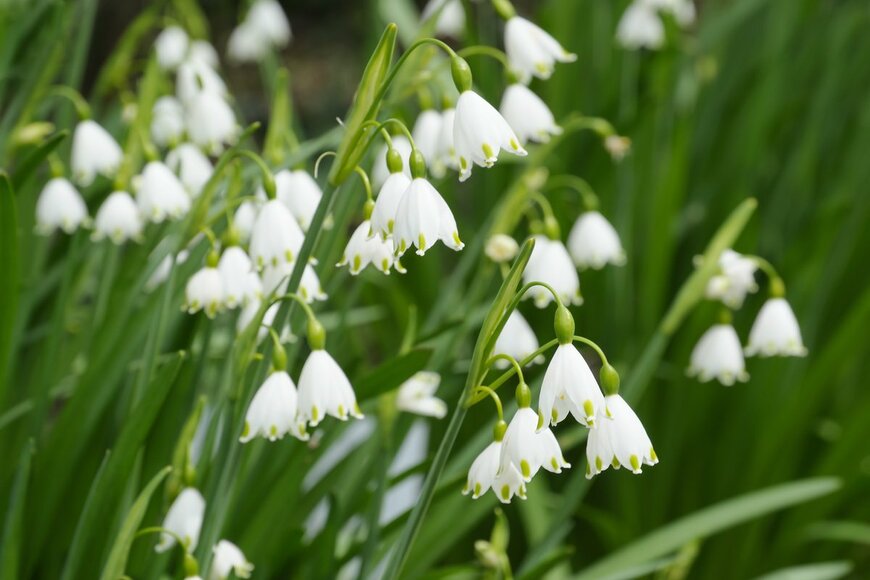 skyfish/shutterstock.com