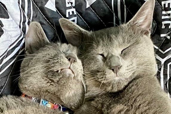 出所：@luna7taka9