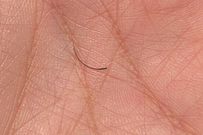 出所：@menchoko1209501