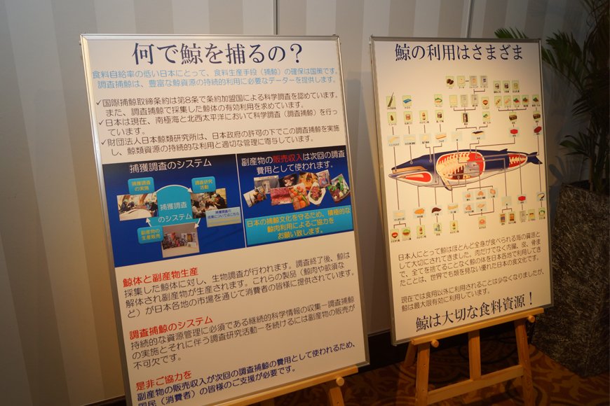 理解を深めるためにクジラを捕る理由や利用方法なども紹介。