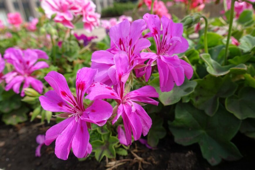 APugach/shutterstock.com