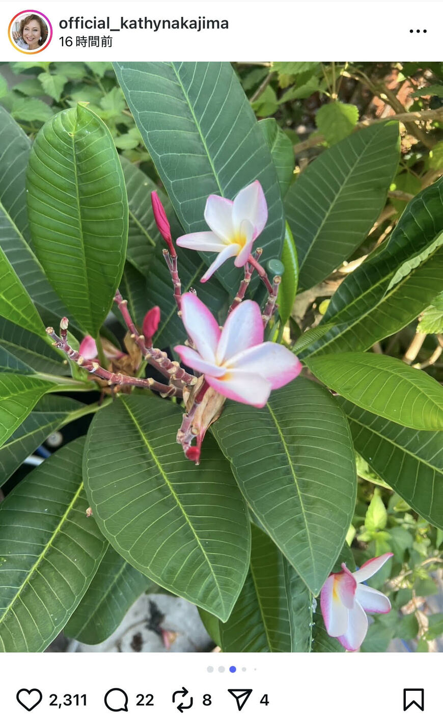 出所：キャシー中島のInstagram（＠official_kathynakajima）参照日：2025年9月9日