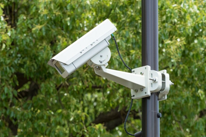 深夜2時にお寺の防犯カメラに映っていたウサギ　「目を疑うような衝撃的な姿」に驚きの声が続出