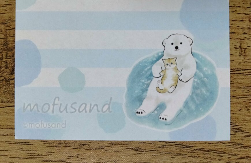 筆者撮影（セリア、mofusand ミニメモ帳（全2種））