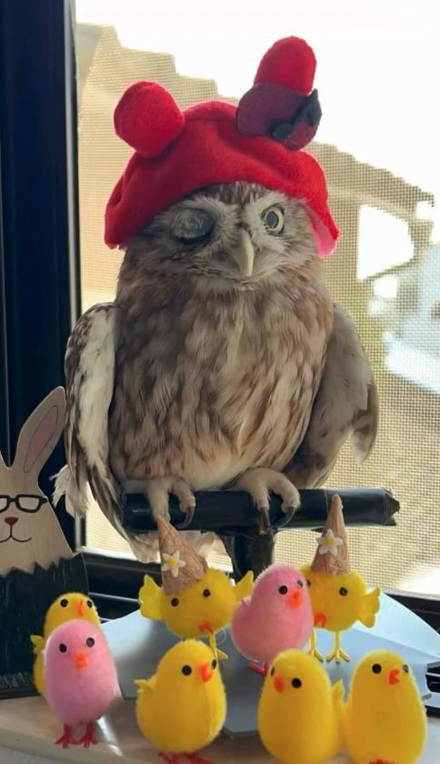 出所：@cr8673.hiro