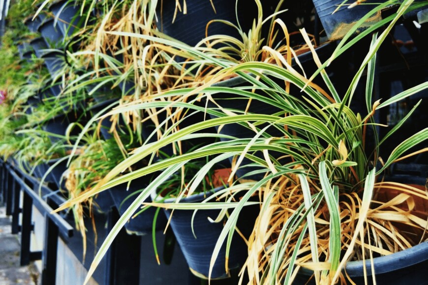 Ade Theou/istockphoto.com