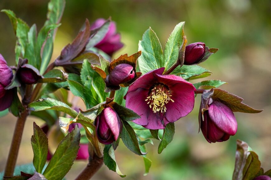 Billy_Fam/istockphoto.com