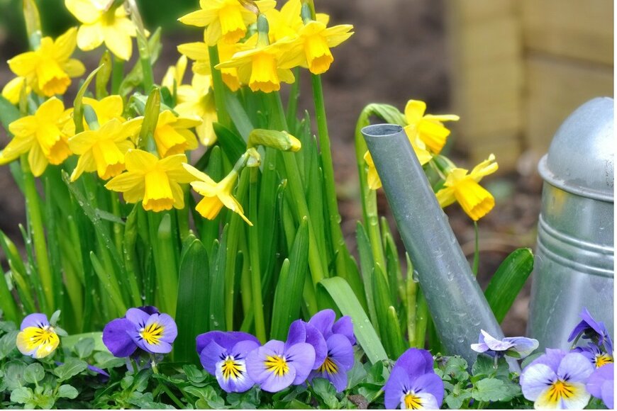 sanddebeautheil/istockphoto.com