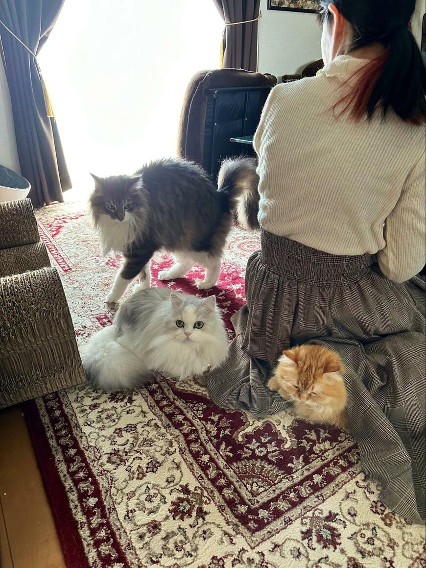 ママさんは大人気