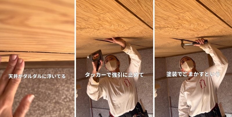 投稿の画像
