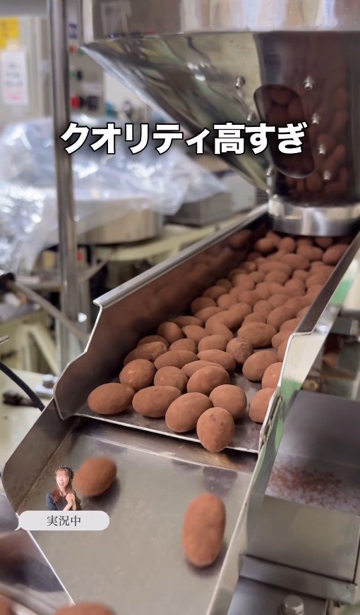 クオリティが高すぎる